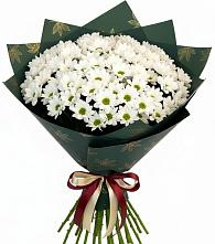 Букет цветов из:  Хризантемы #REPLACE_PRED# Мильково