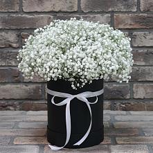 Цветочная композиция из Гипсофила в шляпной коробке в Мильково