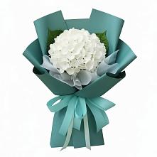 Букет цветов из:  Гортензия #REPLACE_PRED# Мильково